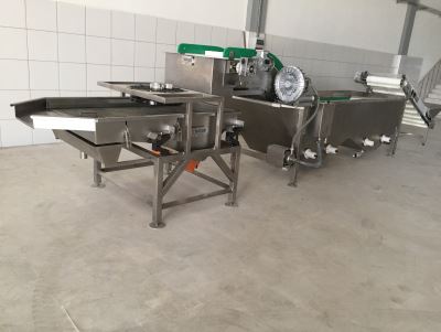 Kuru İncir İşleme Hattı